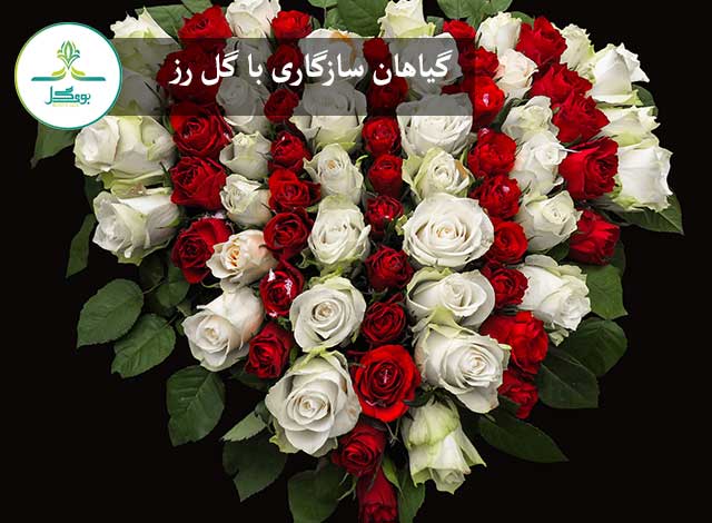plant-white-flower-petal-isolated-heart-