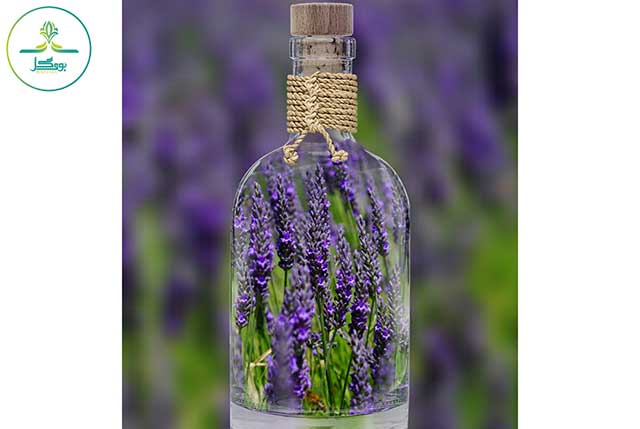 گیاه اسطوخودوس