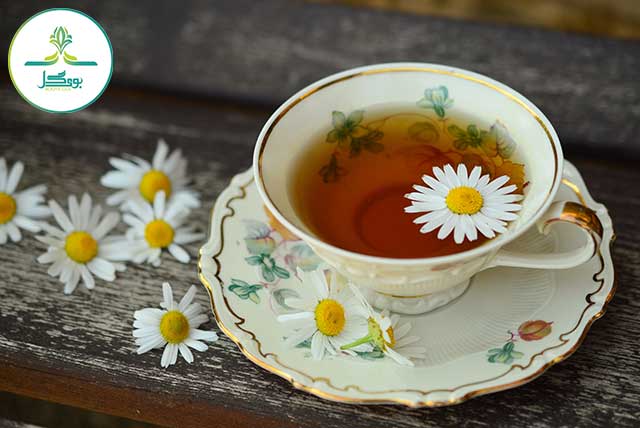 چای گل بابونه