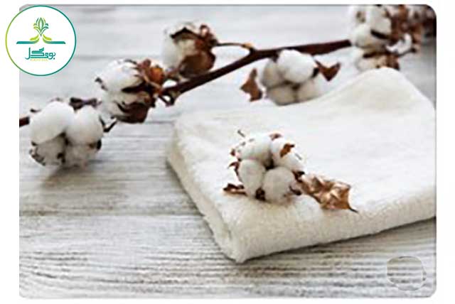 cotton-flower