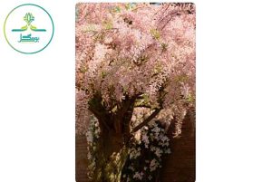 Tamarix flower