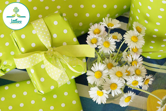 plant-flower-petal-daisy-celebration-bouquet