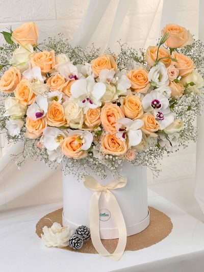 باکس گل ملورا