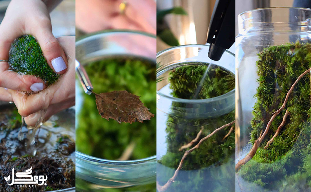 مراحل ساخت Moss Terrarium