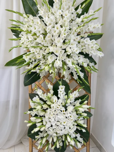 تاج گل جاوید